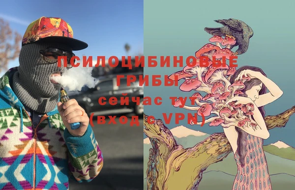 кокс Бородино