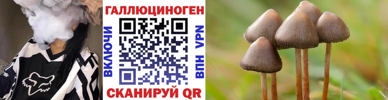 Галлюциногенные грибы Psilocybine cubensis  закладки  Певек 